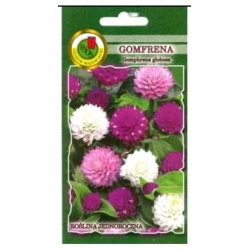 Nasiona Gomfrena wiecznik mix pnos736