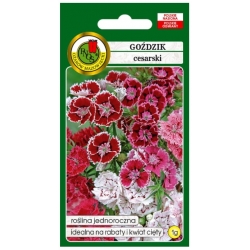 Nasiona Goździk cesarski pnos738