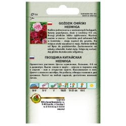 Nasiona Goździk Hedwiga Baby Doll pnos740
