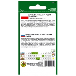 Nasiona Goździk pierzasty pełny pnos743