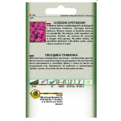 Nasiona Goździk upstrzony pnos745