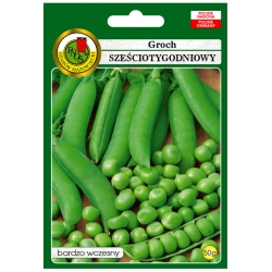 nasiona Groch łuskowy 6-tygodniowy pnos109