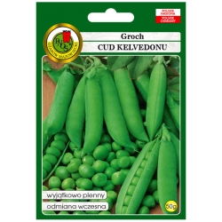 nasiona Groch łuskowy Cud Kelvedonu pnos110