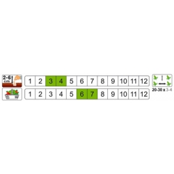 nasiona Groch łuskowy Cud Kelvedonu pnos110