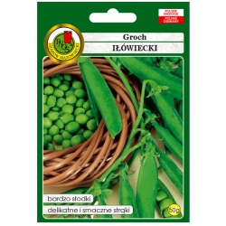 nasiona Groch cukrowy Iłówiecki pnos108