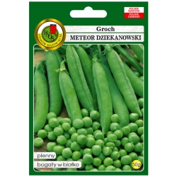 nasiona Groch Meteor Dziekanowski pnos114