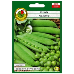 nasiona Groch łuskowy Nefryt pnos111