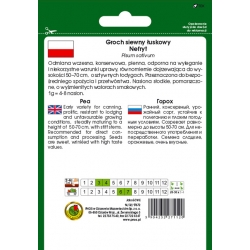 nasiona Groch łuskowy Nefryt pnos111