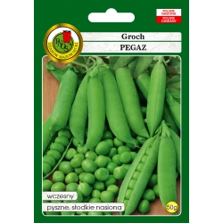 nasiona Groch łuskowy Pegaz pnos112