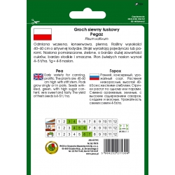 nasiona Groch łuskowy Pegaz pnos112