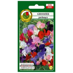 Nasiona Groszek pachnący mix pnos746