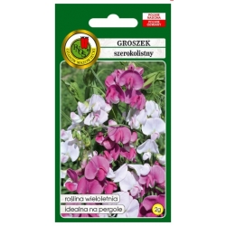 Nasiona Groszek szerokolistny pnos747