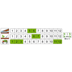 nasiona Jarmuż Gruner Krauser pnos116