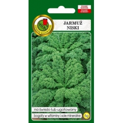 Nasiona Jarmuż niski Dwarf Green pnos948