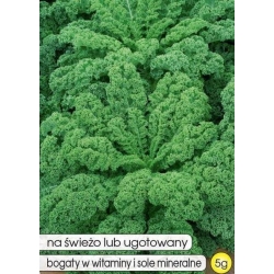 Nasiona Jarmuż niski Dwarf Green pnos948