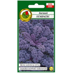 nasiona Jarmuż czerwony Sympatic pnos115