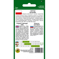 nasiona Jarmuż czerwony Sympatic pnos115