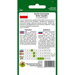 nasiona Kabaczek Złoty Cepelin pnos118