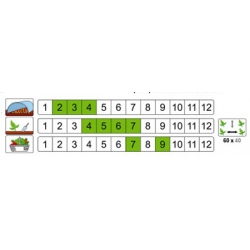 nasiona Kalafior Beta pnos119