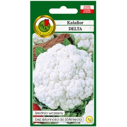 nasiona Kalafior Delta pnos120