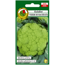 nasiona Kalafior Verde di Macerata pnos122