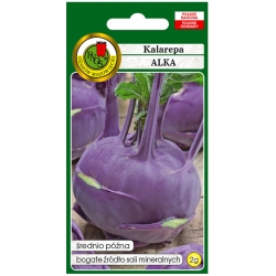 nasiona Kalarepa Alka pnos123