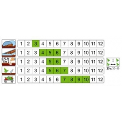 nasiona Kalarepa Alka pnos123