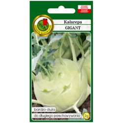 nasiona Kalarepa Gigant pnos125