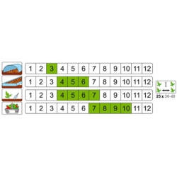 nasiona Kalarepa Gigant pnos125