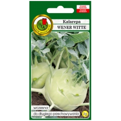 nasiona Kalarepa Wener Witte pnos126