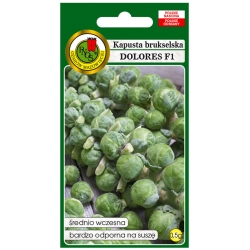 nasiona Kapusta brukselska Dolores pnos127