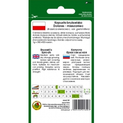 nasiona Kapusta brukselska Dolores pnos127