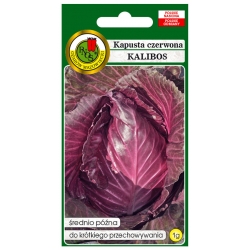 nasiona Kapusta czerwona Kalibos pnos129