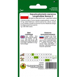 nasiona Kapusta czerwona Langedijker pnos130