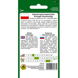 nasiona Kapusta głowa biała Amager pnos131