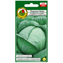 nasiona Kapusta głowa Kamien Głowa pnos133