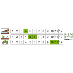 nasiona Kapusta głowa Kamien Głowa pnos133