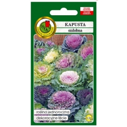 Nasiona Kapusta ozdobna mix pnos749