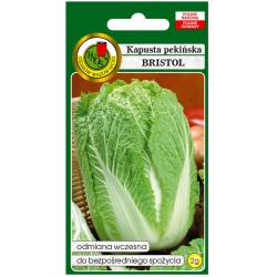 nasiona Kapusta pekińska Bristol pnos140