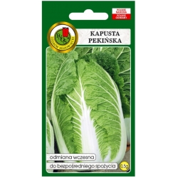 nasiona Kapusta pekińska Capitol pnos141