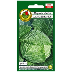 nasiona Kapusta włoska Langedijska pnos142