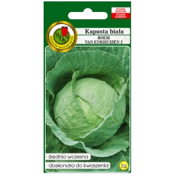 nasiona Kapusta głowa Roem pnos136
