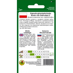 nasiona Kapusta głowa Roem pnos136