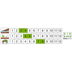 nasiona Kapusta głowa Roem pnos136