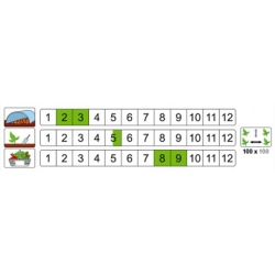 nasiona Karczoch Kard Bianco pnos144