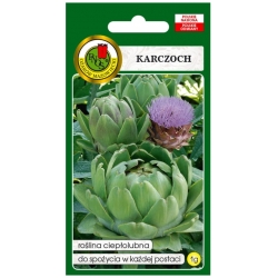 nasiona Karczoch zwy Vert de Provence pnos145