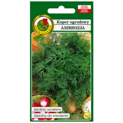 nasiona Koper ogrodowy Ambrozja pnos146