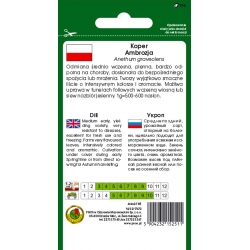 nasiona Koper ogrodowy Ambrozja pnos146