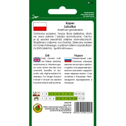 nasiona Koper ogrodowy Lukullus pnos147