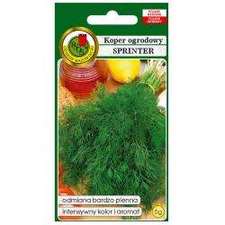nasiona Koper ogrodowy Sprinter pnos150